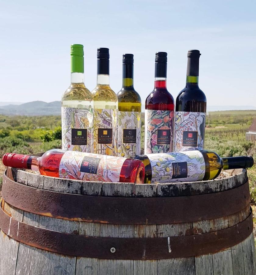 Koczor Winery & Guesthouse Балатонфюред Экстерьер фото